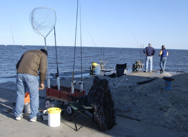 Michigan's Great Lakes and inland fisheries will be guided by new five year plan. Photo: Howard Meyersoon