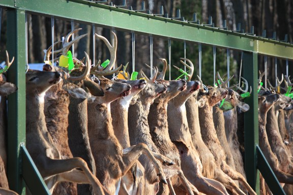 Deer hunters would be able to use certain rifles and ammunition in southern Michigan if a new bill passes the state legislature. Photo courtesy of Fred Glowe