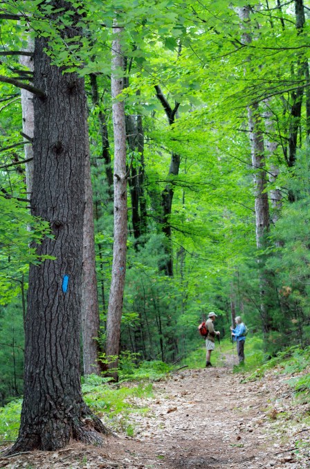 Guernsey Lake Hike 5 cover_edited