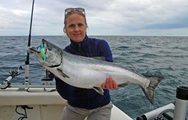 Amber Wiersma hoists a nice chinook salmon she caught on a recent charter fishing trip off Grand Haven on Sea Flea Charters. Photo: Howard Meyerson