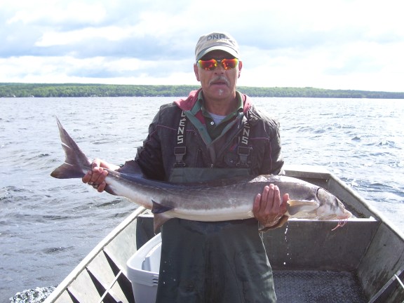 DNR fisheries staffer, Lon Brinkman holds a sturgeon netted on Black Lake during a prior assessment of the population. Photo: MDR