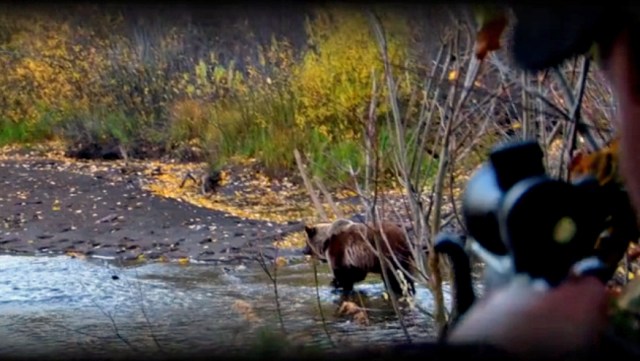 Jason Peterson takes on a grizzly bear in A Grizzly Adventure shot in British Columbia, Canada. Photo: Courtesy