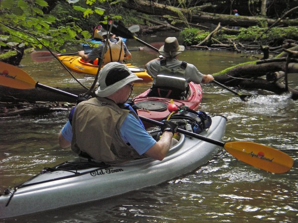 Paddlers (back to front) Don Harrell, John Mitchell, Bill McCain and Dick Curtis negotiate a dark twisty section of the Bangor/South Haven Heritage Water Trail while Ronee Harrell (far upper right) scouts out the route. Photo: Howard Meyerson