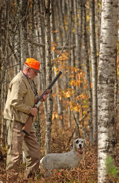 Bird hunters can expect to have a good season this fall. Photo: Dave Kenyon. Michigan DNR.