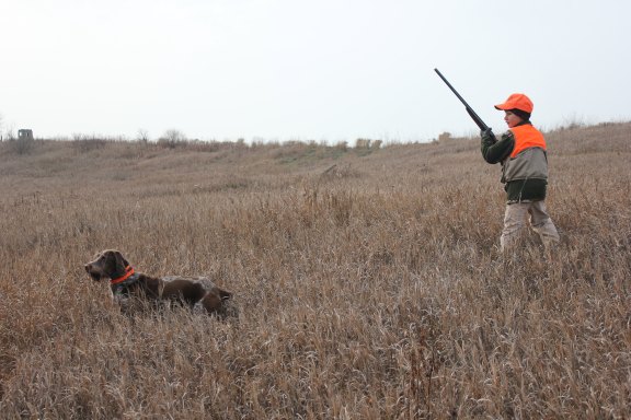 A young hunter (unnamed) looks for pheasant while hunting German wire haired pointer named "Jake" durig a mentored youth hunt put on by the Muskegon County Pheasants Forever chapter earlier this year. Photo: Courtesy Muskegon County Pheasants Forever.