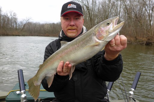 The Kalamazoo River got a big push of steelhead this season. Hanley caught 112 this fall. Photo: Howard Meyerson
