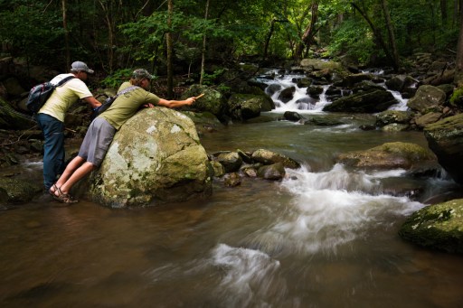 The story of two brothers who grew up fishing mountain brook trout is depicted in "BloodKnot" Photo: F3T