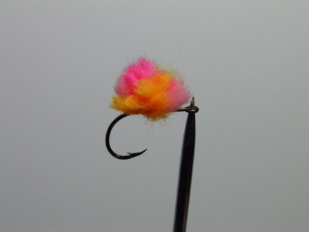 Bill Fuhs caught his steelhead on this Crazy Egg pattern tied by Chuck Scribner. Photo courtesy of Scribner Outfitters
