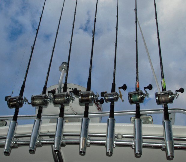 State fisheries officials predict salmon will be hungry and bite lures more readily with fewer alewives in Lake Michigan.  Photo: Howard Meyerson