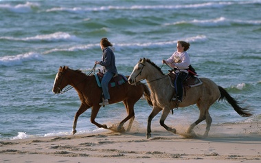 Six rustic campgrounds that were closed in 2009 due to budget constraints are to be reopened. Four of them will be re-configured to provide additional camping opportunities for equestrians.That recommendation is being taken up March 13 by the Natural Resources Commission.