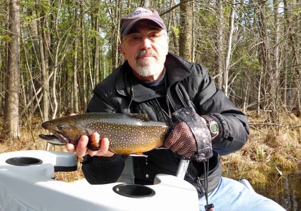 Big brook trout on tiny flies. Photo © 2013 Howard Meyerson