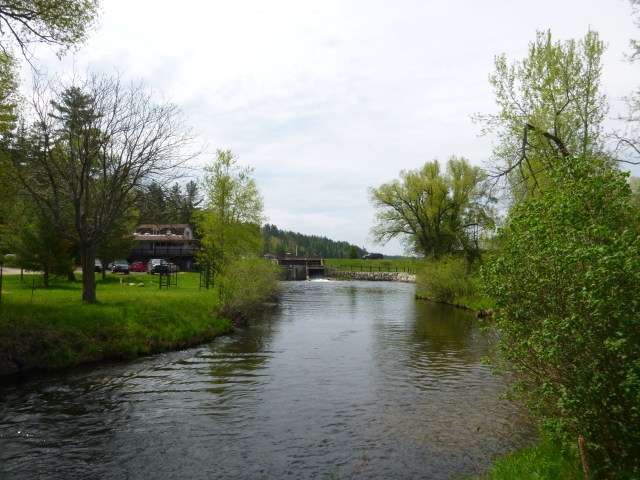 Waters downstream from the dam will run cooler, benefiting trout once this dam is removed. Photos courtesy of Huron Pines. 