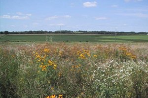 75350c6076dd58f3e9acdc1bc36799b6