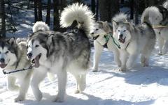 Photo: Howard Meyerson