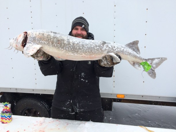 Doug Blaskowski, of Brutus, holds a 50-inch, 31-pound female sturgeon he speared during the recent Black Lake sturgeon season. Photos courtesy of Brenda Archambo