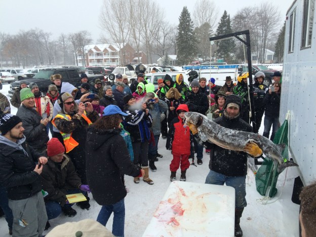 Todd Zeller - archambo