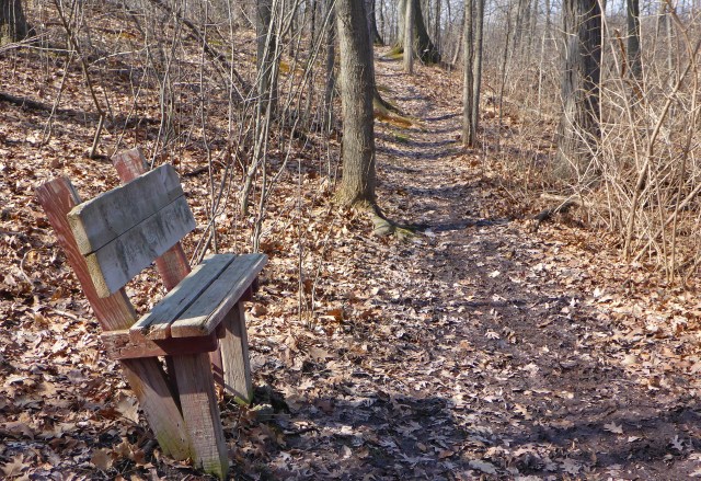 Stop and have a snack, or listen to the birds, along the Hodenpyl Woods trail. Photo by Howard Meyerson.