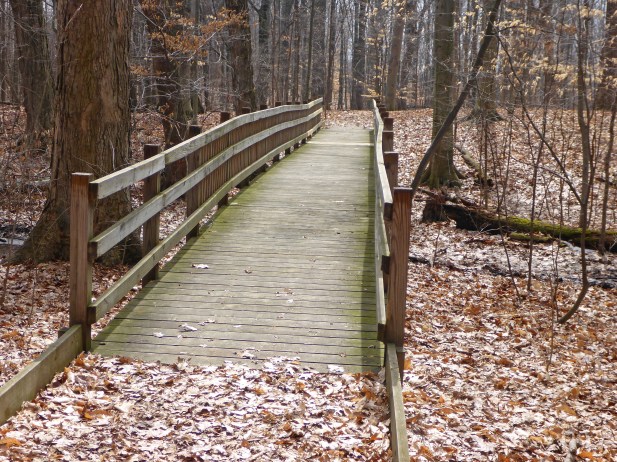 Take a peaceful stroll on the trails at Calvin College Ecosystem Preserve. Photo by Howard Meyerson