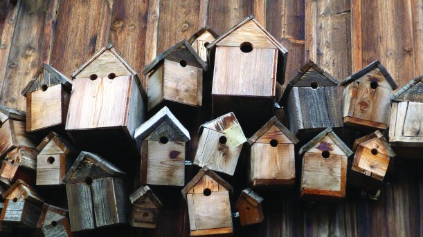 More and more Michigan communities are working out how to be more bird-friendly.