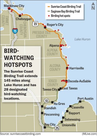 Sunrise Coast Birding Trail 17536316-large