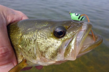 Small lakes often have good bass populations which can be caught with a surface popper and fly rod from a canoe. Photo: Howard Meyerson