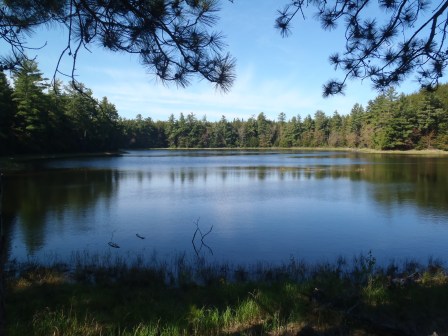 Forest Lake in western Upper Peninsula is one of the spots listed on the Michigan Department of Natural Resources’ new Trout Trails website, which tracks popular sites for fishing trout. Photo: Courtesy of Michigan DNR. 