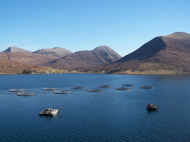 An example of offshore salmon farming in the sea (mariculture) at Loch Ainort, Isle of Skye. Photo: Wikipedia. 