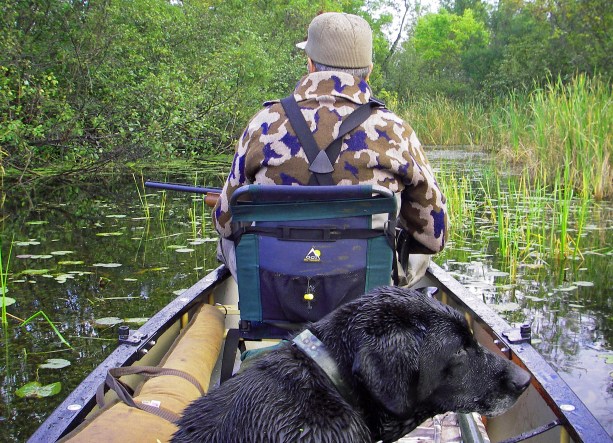Duck hunters looking for mallards and wood ducks will often hunt the small wooded waters. Photo: Howard Meyerson
