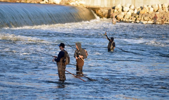 Anglers gather downstream of the Sixth St. Dam where salmon and steelhead congregate when they come upstream. Photo by Howard Meyerson.