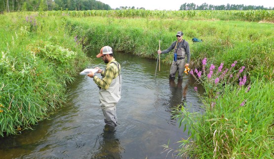 Justin Wenger (left) and Graeme Zaparzynski (right) prepare to take some measurements in Cedar Creek where they found a radio-tagged brook trout they are studying. Photo by Howard Meyerson