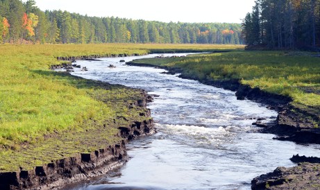 Once under water, Meadows now grow surrounding the river which is cutting its way down to the historic channel. Photo by Howard Meyerson.