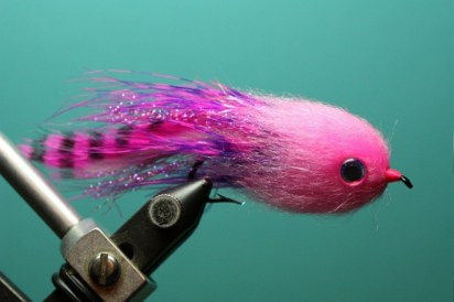 Chris Soule's Pink Baby Doll. A new pattern intended for salmon and steelhead. (Courtesy Photo)