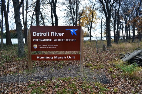 10839796446_b301e18e52_o